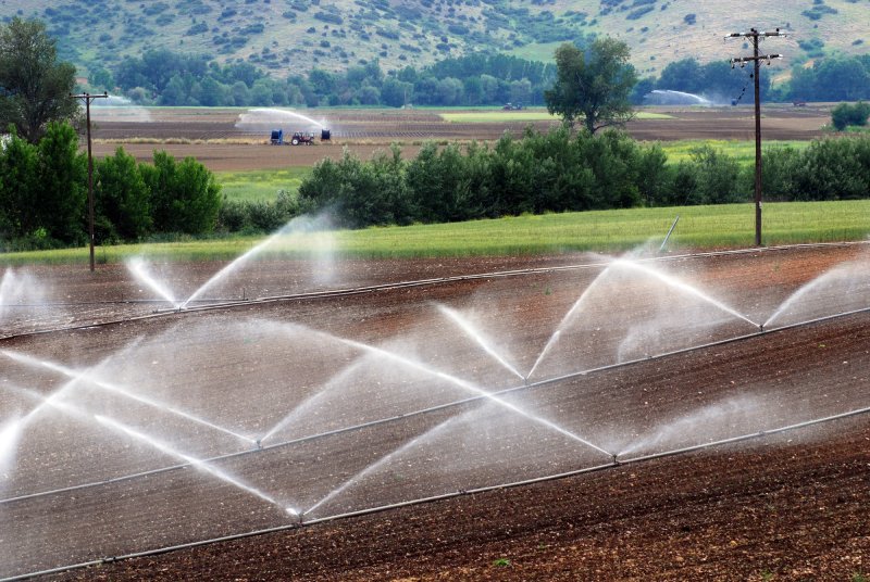Irrigation System2